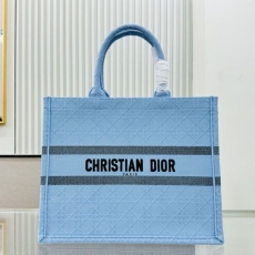 Christian Dior Shopping Bags